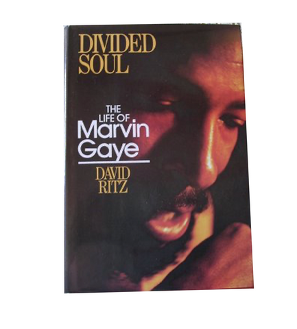 Divided Soul - The Life of Marvin Gaye